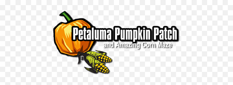 Corn Maze Night Maze Pumpkin Patch - Petaluma Pumpkin Patch Logo Emoji,Maze Emoji