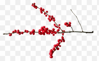 Christmas Deco Motif Berry - Transparent Berries Png Emoji