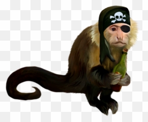 Monkey Squat PNG Official PSDs - Pirate Transparent Png Emoji