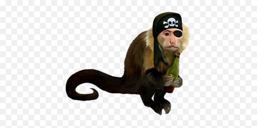 Monkey Squat Png Official Psds - Pirate Monkey Transparent Png Emoji,Squat Emoji