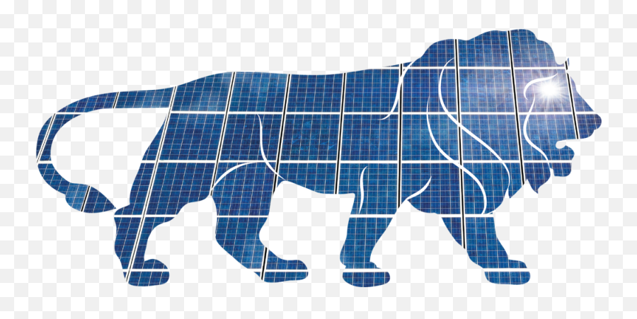 Modi To Seek Us Funds For 100 Gw Each Of Solar U0026 Wind - India Future Solar Energy Emoji,Grizzly Bear Emoji