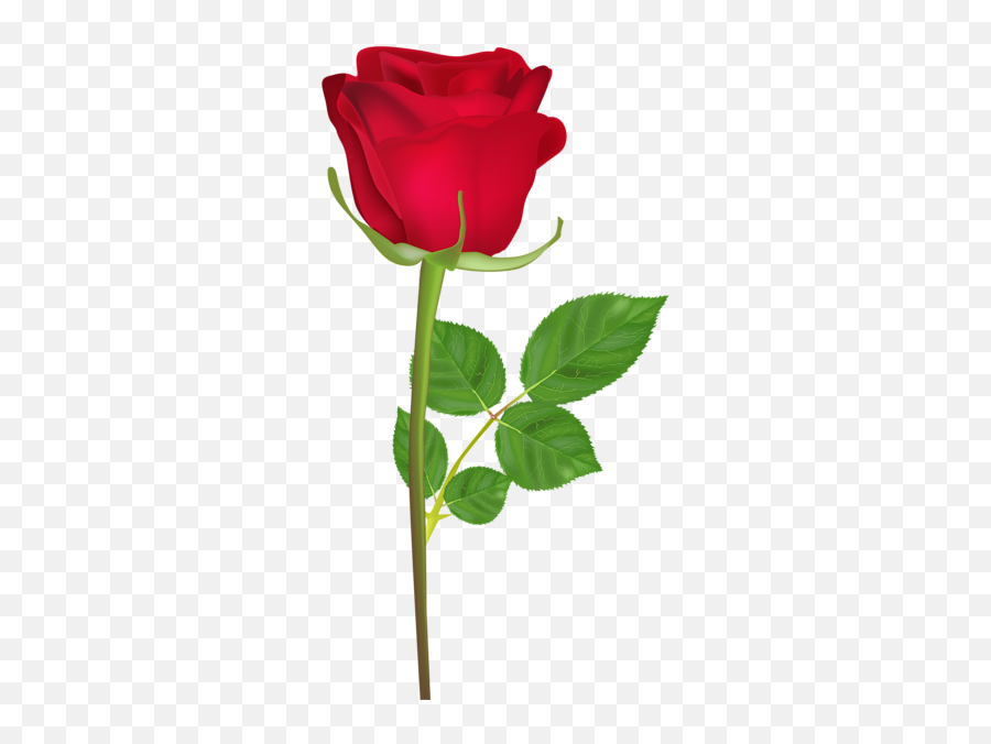 Pin - Gulab Ka Phool Hd Emoji,Red Flower Emoji
