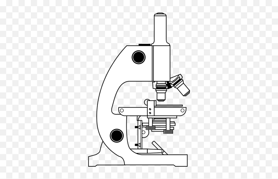 35 Latest Pencil Simple Microscope Drawing - Sarah Sidney Blogs Simple Unlabelled Microscope Diagram Emoji,Microscope Emoji