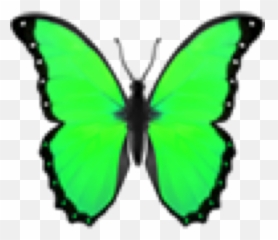green greenemoji greenbutterfly Sticker by zrychtecka - T Shirt Roblox Aesthetic