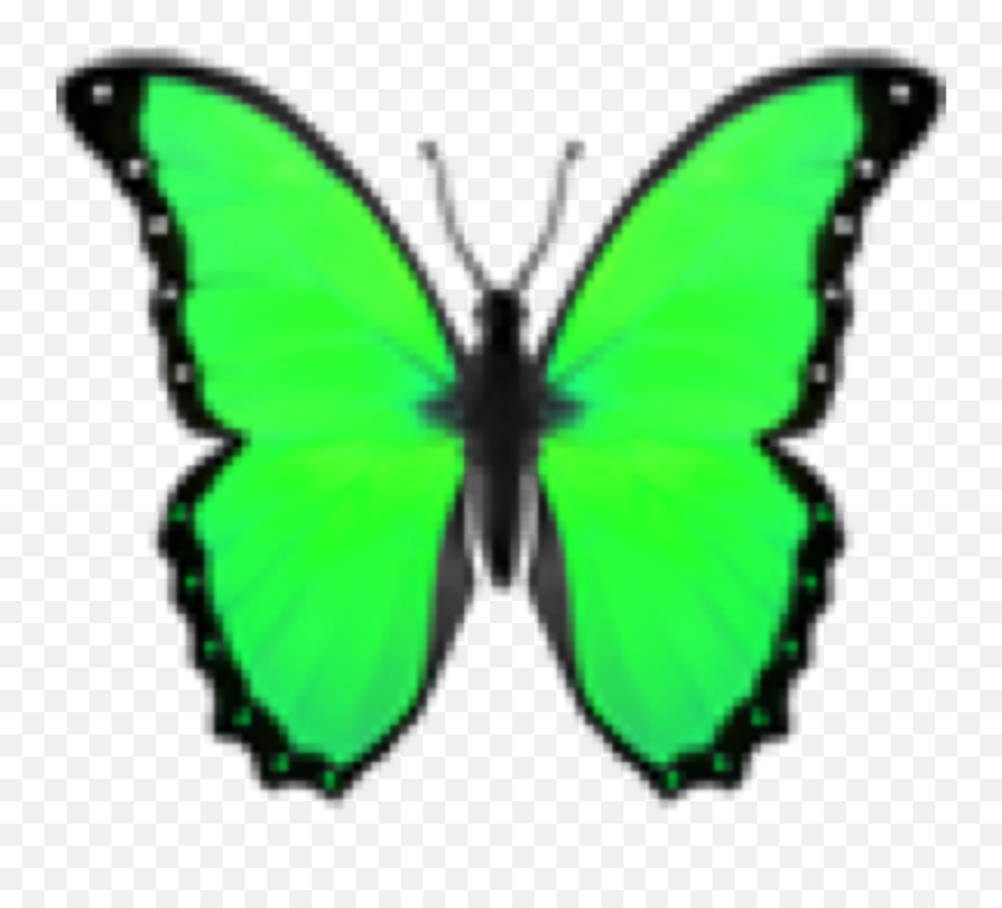 Green Greenemoji Greenbutterfly Sticker By Zrychtecka T Shirt Roblox Aesthetic Butterfly Emoji Iphone Free Transparent Emoji Emojipng Com - green roblox t shirt