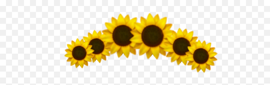 Sunflower Emoji Crown - Yellow Aesthetic Png Transparent,Yellow Flower Emoji