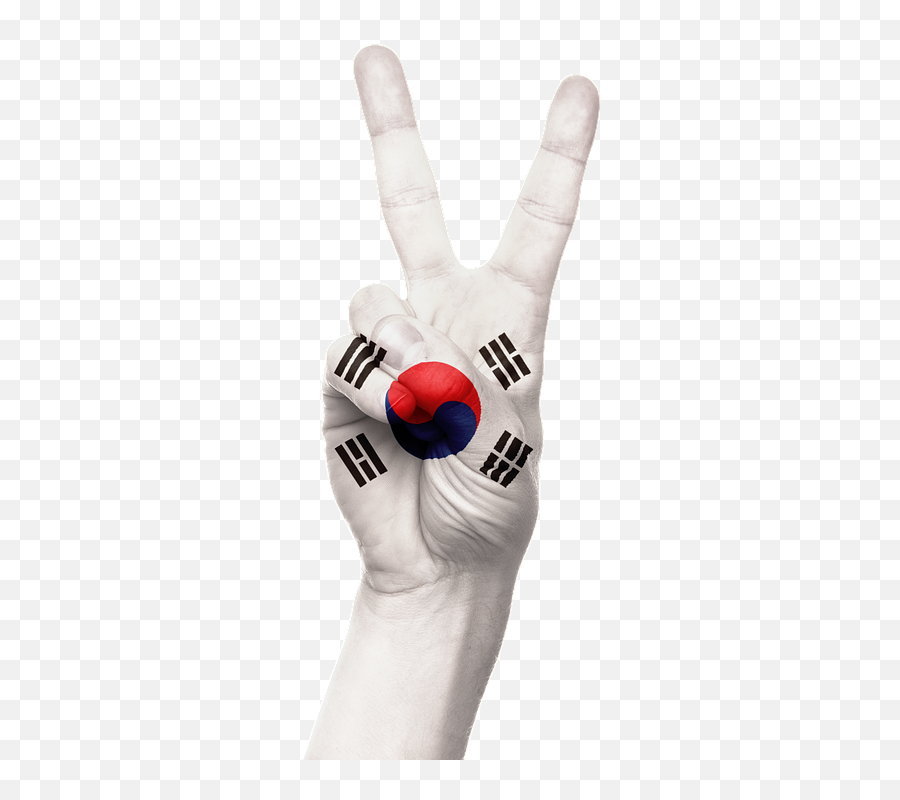 Hand South Korea Flag - Korea Flag Hand Png Emoji,South Korea Flag Emoji