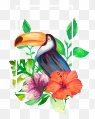 Largest Collection Of Free - Realistic Drawing A Toucan Emoji