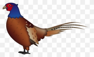 Emoji - Pheasant,Emoji Feather