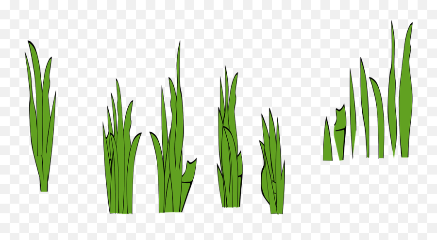 Free Lawn Grass Vectors - Blade Of Grass Cartoon Emoji,Emoji Rice With Black Square