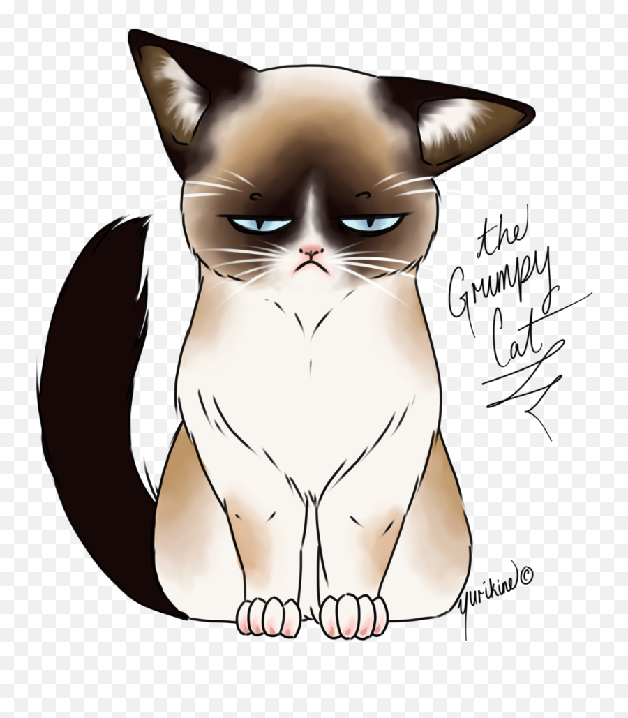 Library Of Grumpy Cat Jpg Black And White Download Png Files - Kawaii Cute Cat Drawing Emoji,Grumpy Cat Emoji