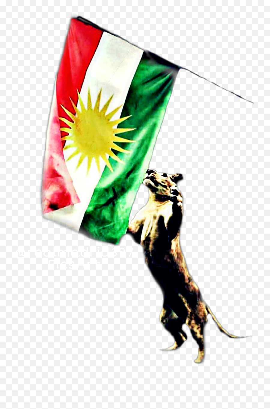 Kurdistan Kurdish Kurdishpost Sticker By - Flagpole Emoji,Iraq Flag Emoji