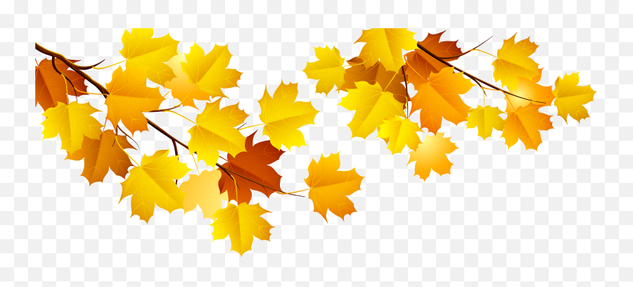 Fall Transparent Png Clipart Free Download - Fall Tree Branches Clip Art Emoji,Fall Emojis