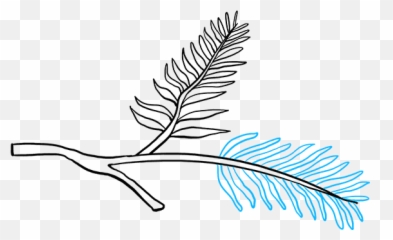 How To Draw A Pinecone - Vatican City Drawing Easy Emoji,Quill Emoji