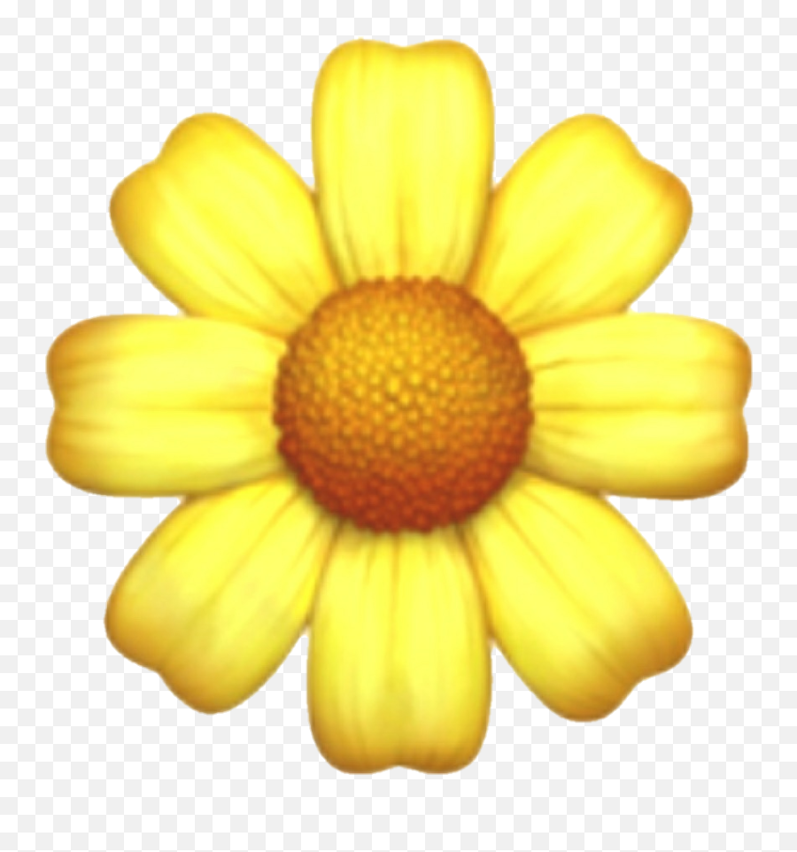 Yellow Flower Emoji Uploaded - Flower Emoji Png,Daisy Emoji