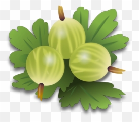 Home Raavedic - Gooseberry Clipart Emoji,Constipation Emoji