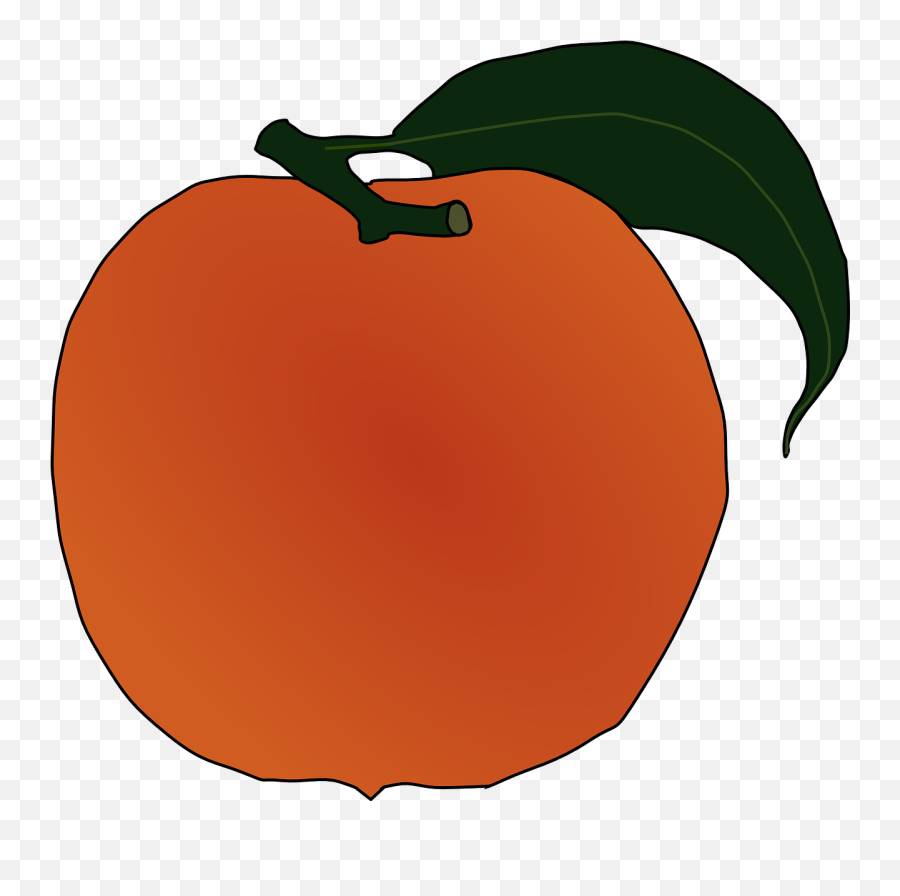 Peach Fruit Ripe Sweet Juicy - Peach Clip Art Emoji,Mango Fruit Emoji