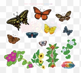 Top Ji Chang Wook Stickers for Android u0026 iOS Gfycat - Cycle Of Butterfly Diagram Emoji