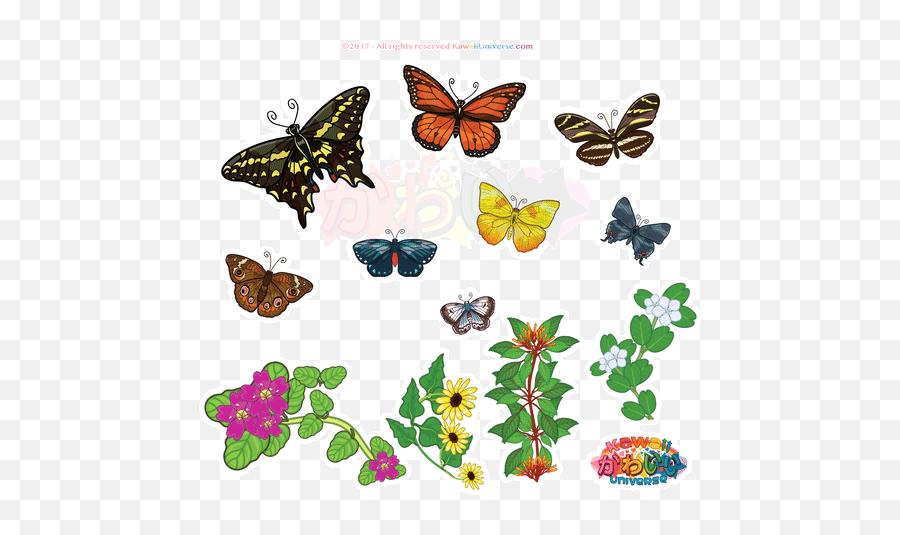 Top Ji Chang Wook Stickers For Android U0026 Ios Gfycat - Cycle Of A Butterfly Diagram Emoji,Butterfly Emoji Iphone