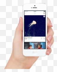 Primary For Instagram - Receipt Mobile Application Emoji