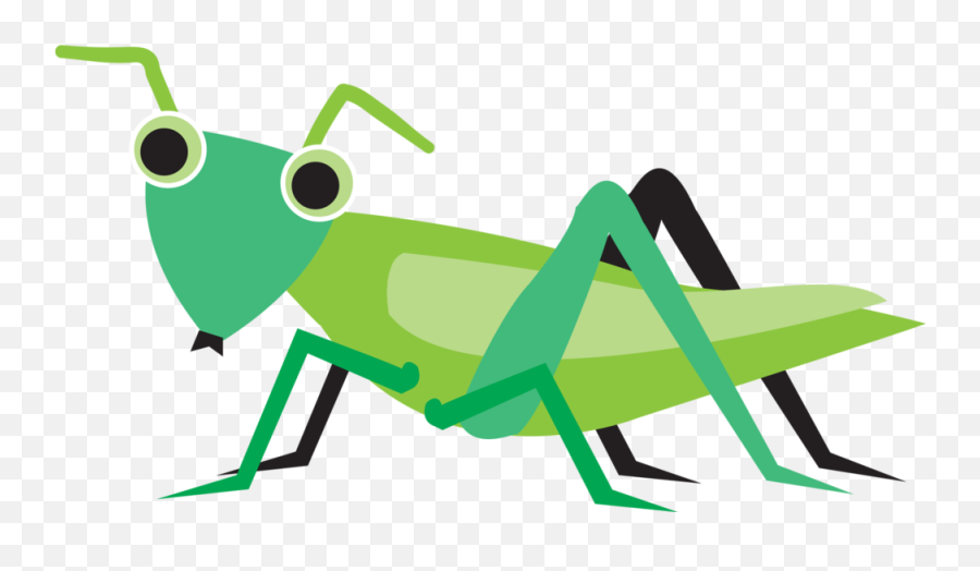 Grasshopper Clipart Information Grasshopper Information Emoji,Grasshopper Emoji