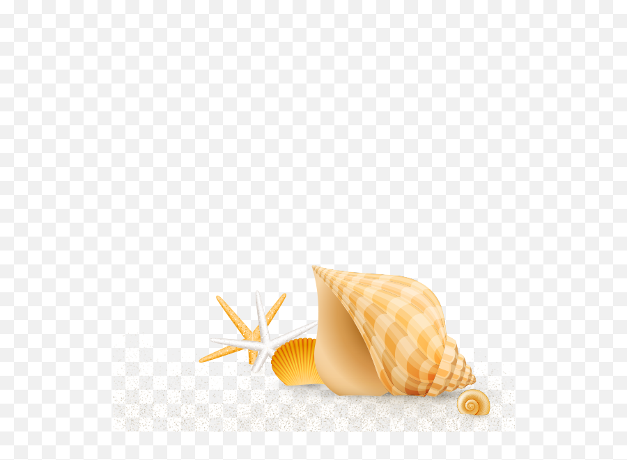 Summer - Baamboozle Soft Emoji,Seashell Emoji