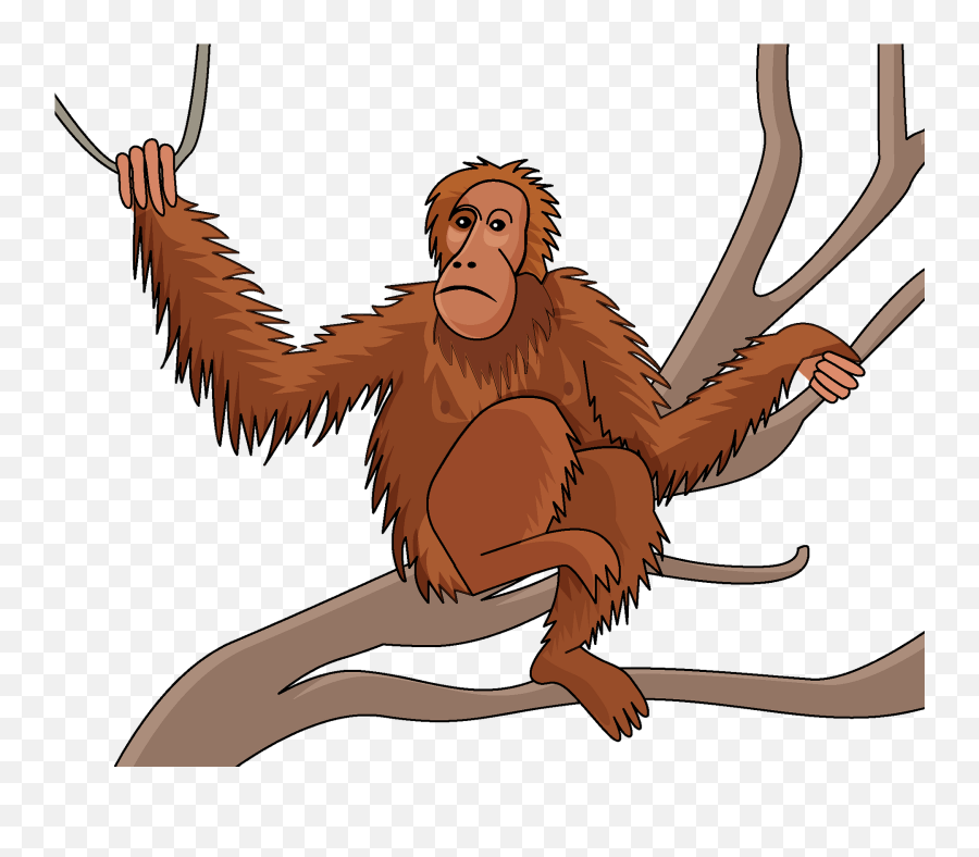 Orangutan Clipart - Cartoon Orang Utan Clipart Emoji,Ape Emoji
