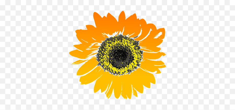 Free Yellow Flowers Flower Vectors - Sunflower Clip Art Png Emoji,Yellow Flower Emoji