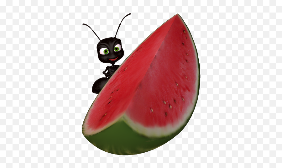 Watermelon Clip Art 2 - Ants Watermelon Emoji,Watermelon Emoji