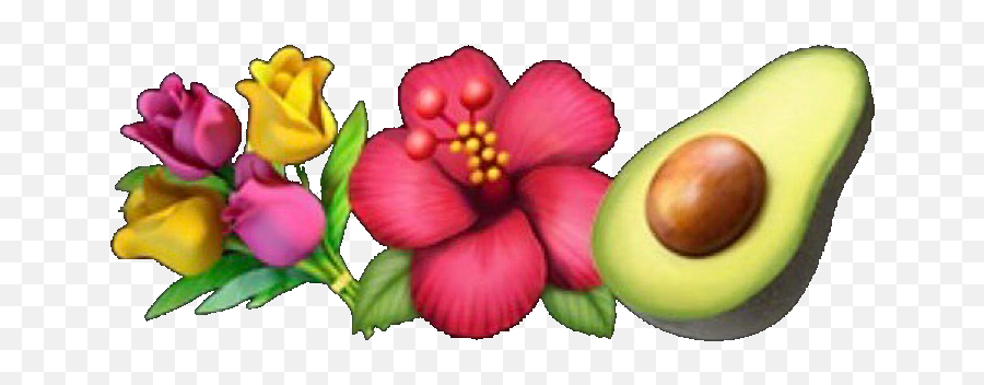 Emoji - Iphone Flower Emoji Png,Flower Emojis
