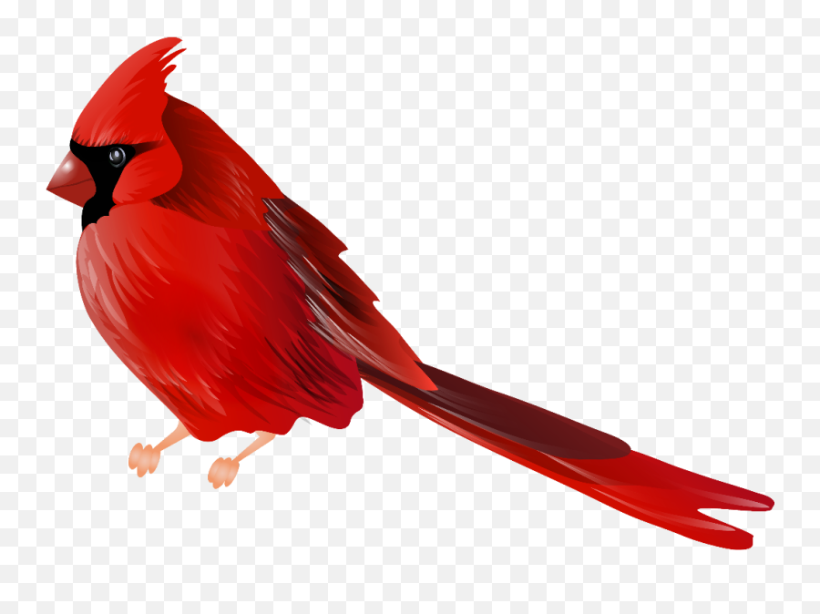 Ftestickers Bird Redbird Cardinal - Cardinal Bird Png Emoji,Cardinal Emoji