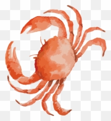 Seafood Drawing Crab Transparent Png - Clipart Crab Emoji,Seafood Emoji