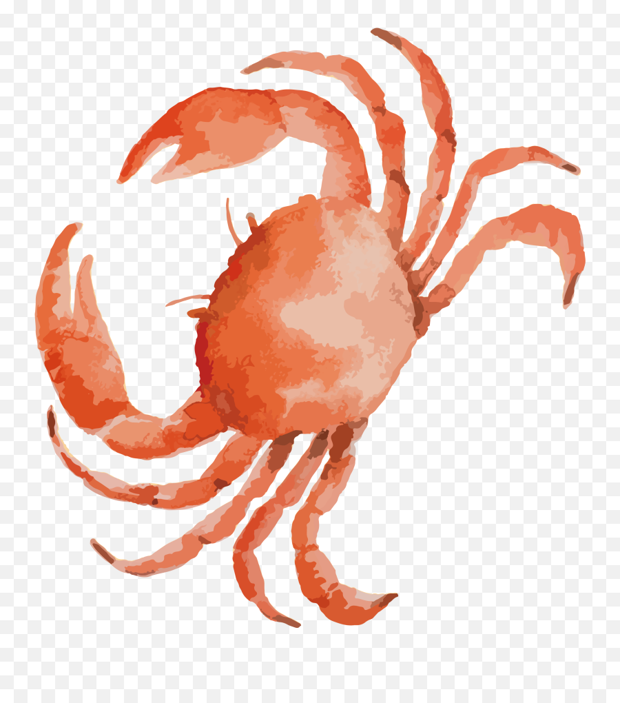 Seafood Drawing Crab Transparent Png - Clipart Crab Emoji,Seafood Emoji