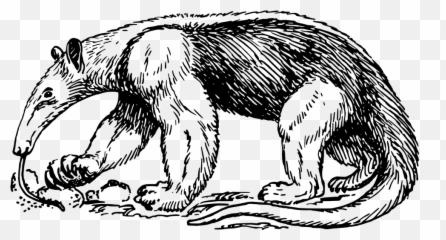 Free Tongue Dog Illustrations - Anteater Black And White Emoji,Crab Emoji