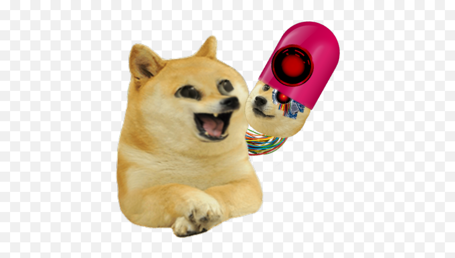Largest Collect About Doge Transparent - Kid Doge Png Emoji,Doge Emoji