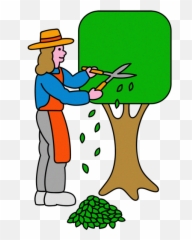 App - Clip Art Emoji,Carrot Emoji