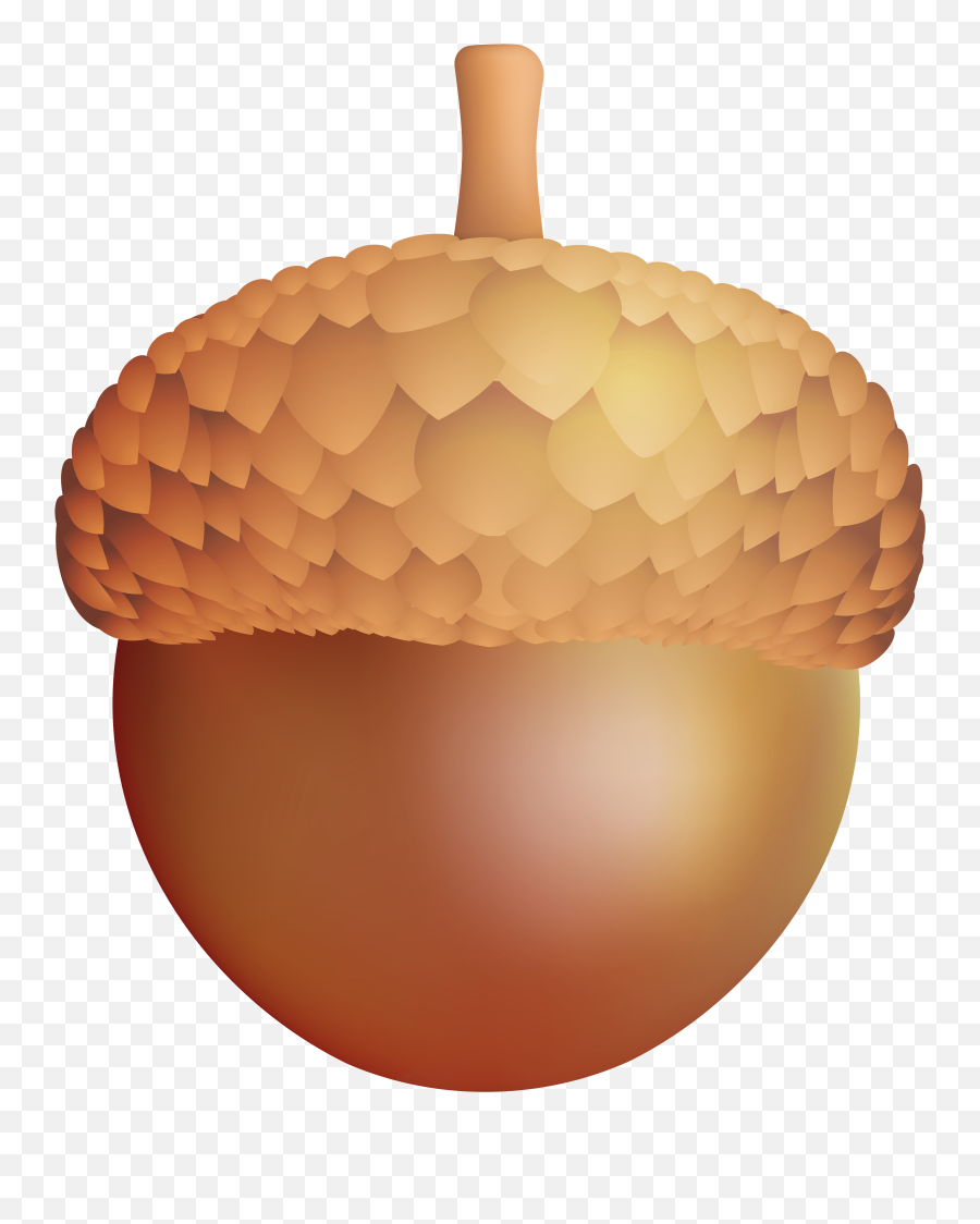 Acorn Clipart Transparent - Transparent Background Acorn Clipart Emoji,Acorn Emoji