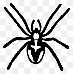 Transparent Background Spider Clipart - Black And White Art Emoji