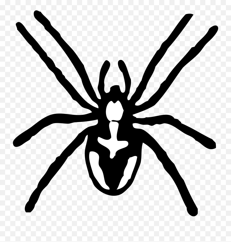 Transparent Transparent Background Spider Clipart - Spider Black And White Clip Art Emoji,Spider Emoji