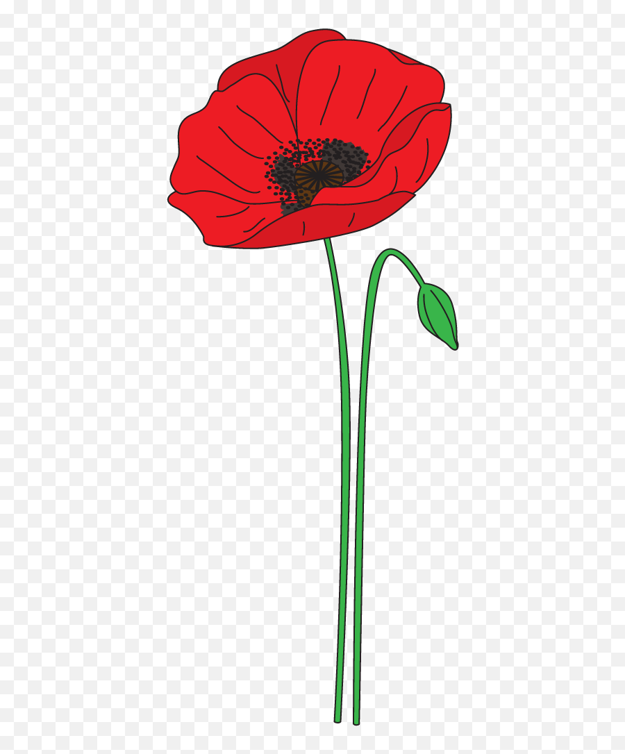 Download Poppy Jump Transparent Png - Anzac Day Poppy Poppy Background Anzac Day Emoji,Poppy Emoji