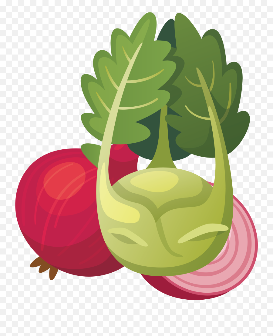 Drawing Vegetable Radish Transparent Png Clipart Free - Tranh Ve Rau N Lá Emoji,Turnip Emoji