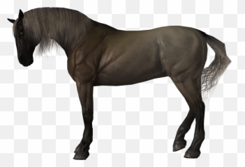 Rdo Next Updates Speculation General - Animal Figure Emoji