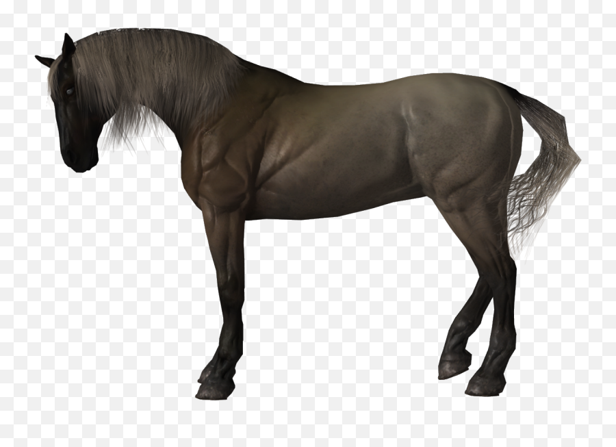 Rdo Next Updates Speculation General - Animal Figure Emoji,Emoji Man Plus Horse