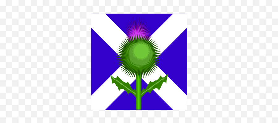 Scottish Thistle And Flag Vector Image - Scotland Flag And Thistle Emoji,Syrian Flag Emoji