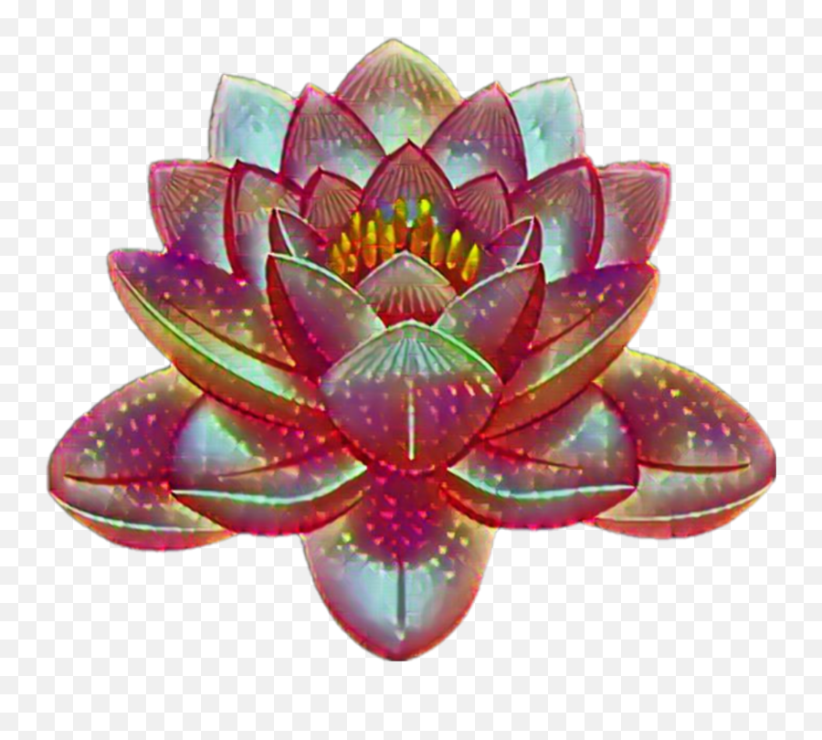 Freetoedit Lotus Flower Purity Body - Transparent Background Lotus Png Emoji,Lotus Flower Emoji