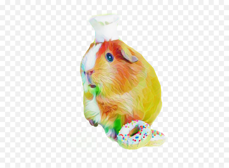 Scguineapig Guineapig Pig Hamster Hamsterlove Cooking - Guinea Pig Emoji,Guinea Pig Emoji