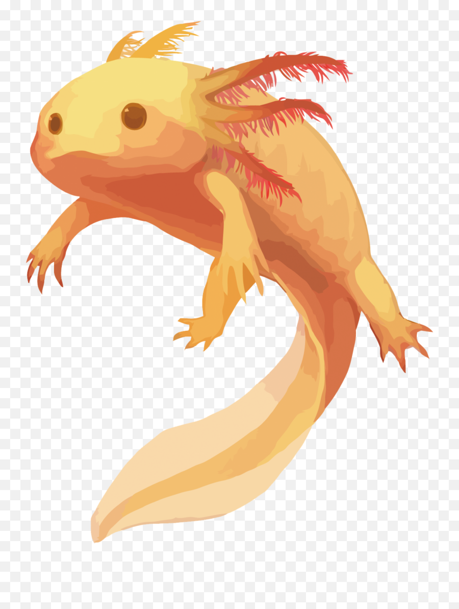 Mq Lizard Salamander Animal Animals - Ajolote Dorado Emoji,Salamander Emoji