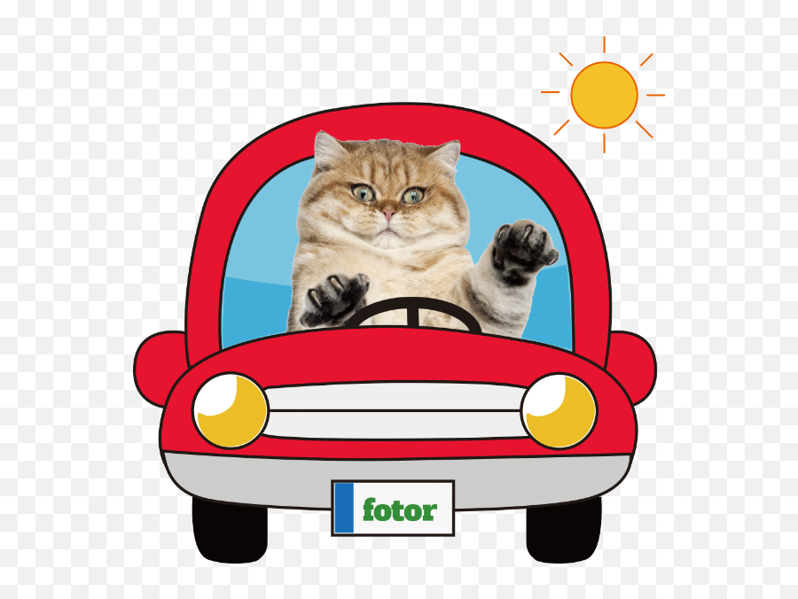 Cat Car Animal Kitten Vector - Cat Emoji,Kitty Emoticons