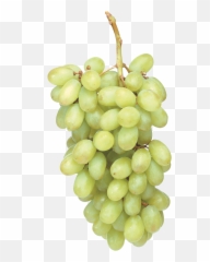 Green Grapes - Emoji