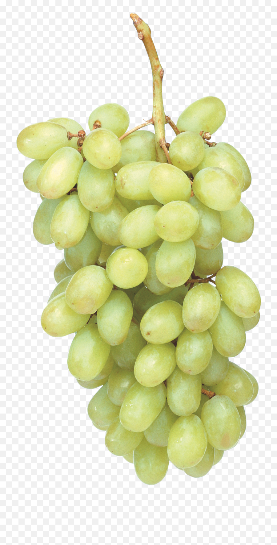 Green Grapes - Grape Emoji,Grape Emoji
